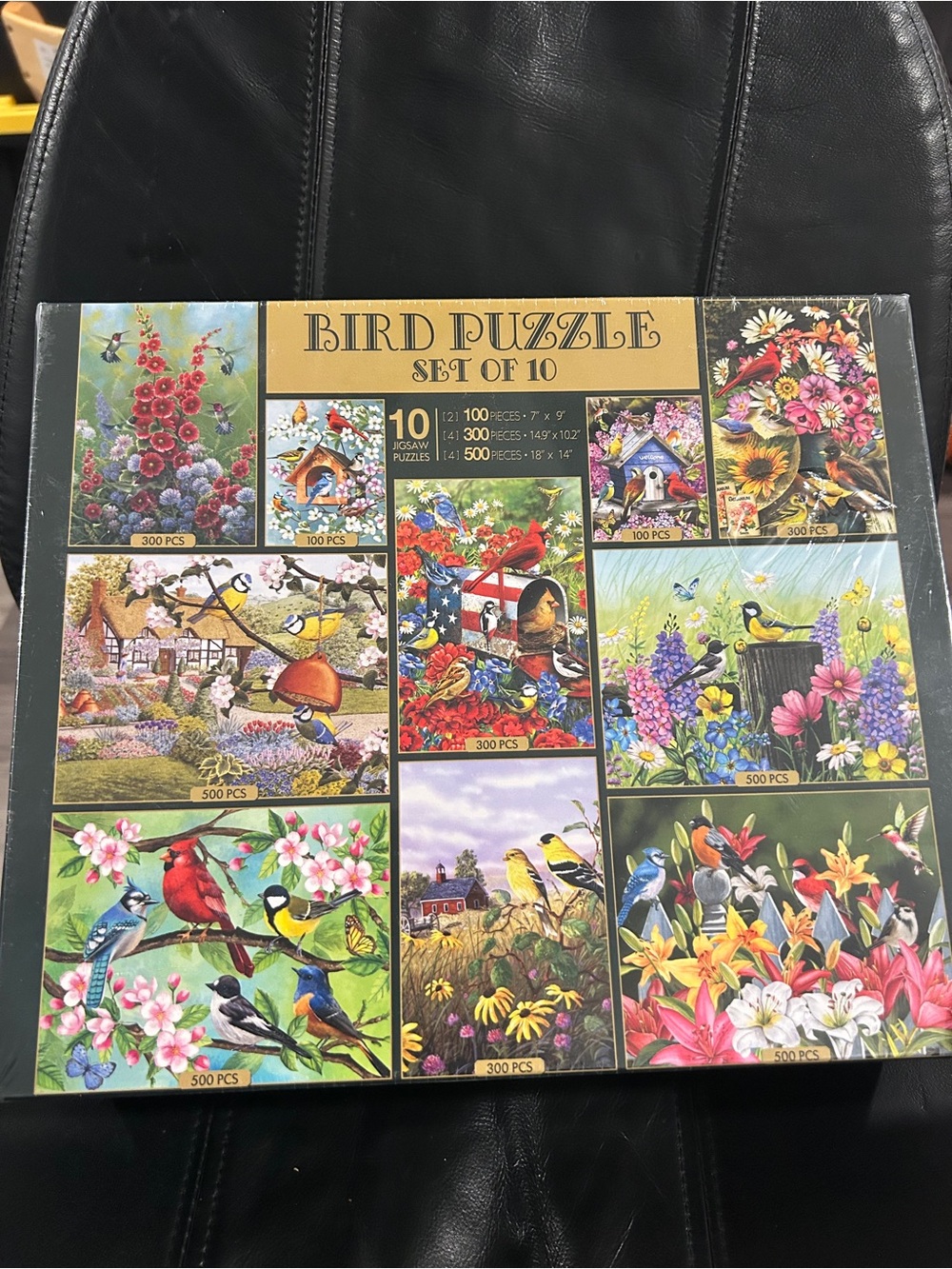 Bird Puzzle Set of 10 - Colorful Birds Puzzle Collection (Black/Gold Accents)